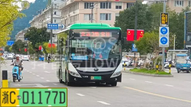 浙C·01177D
