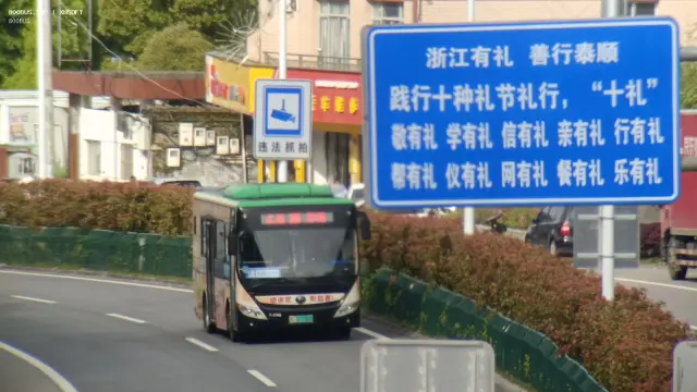 浙C 07288D