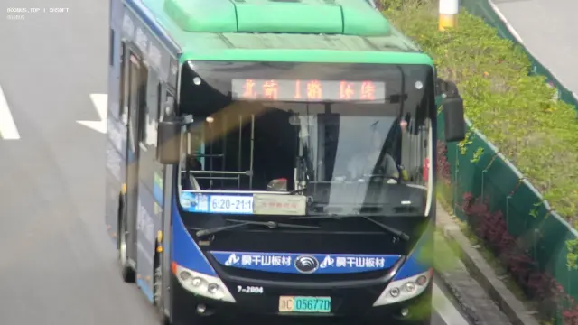 800BUS