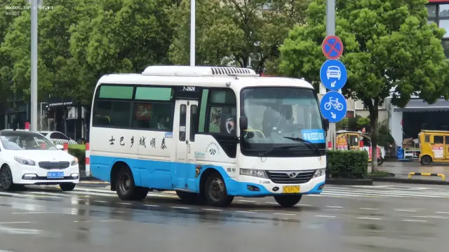 800BUS