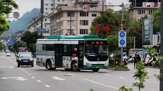 800BUS