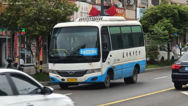 800BUS