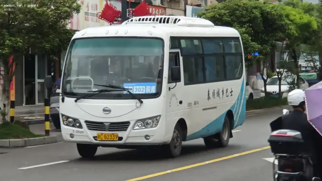 800BUS
