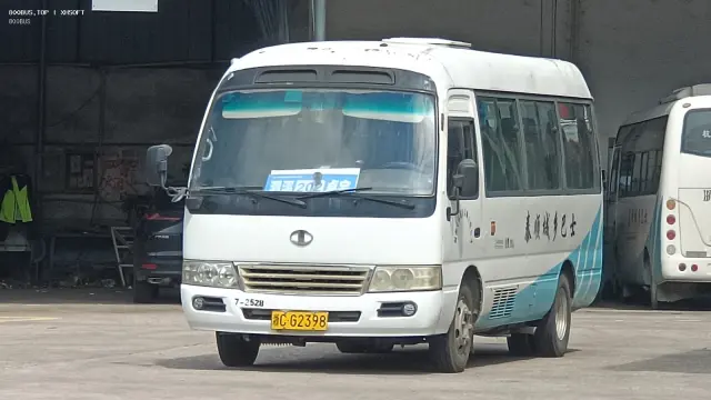 800BUS