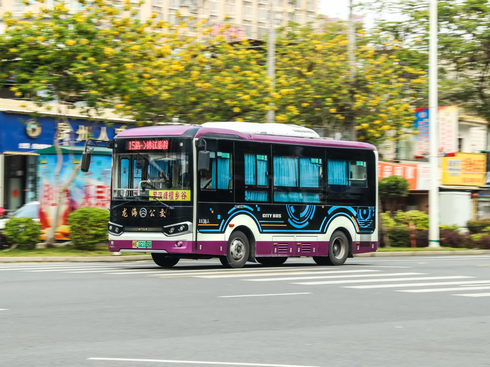 Bus Archive