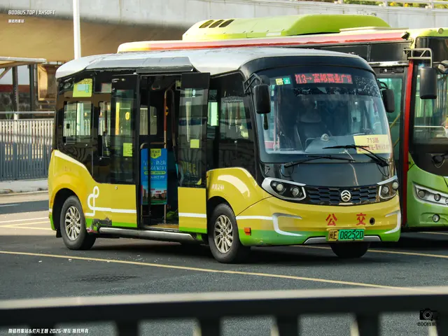 闽E 08252D