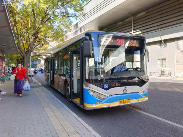 800BUS