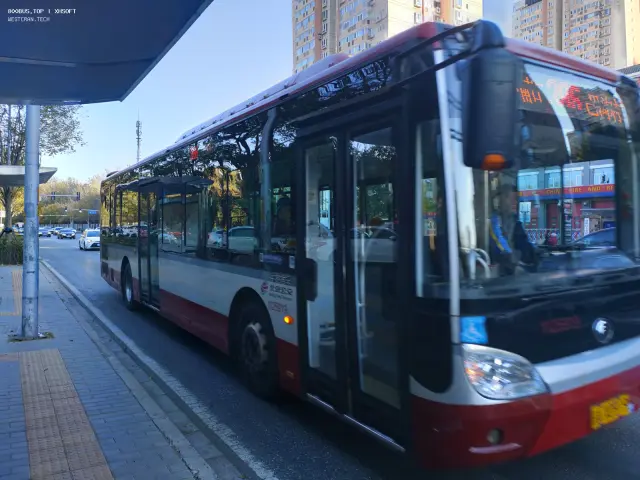 800BUS