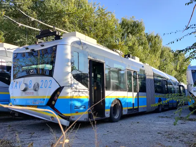 800BUS