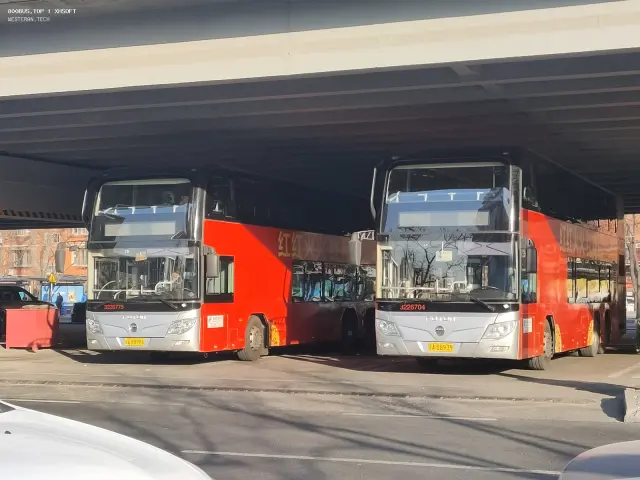 800BUS