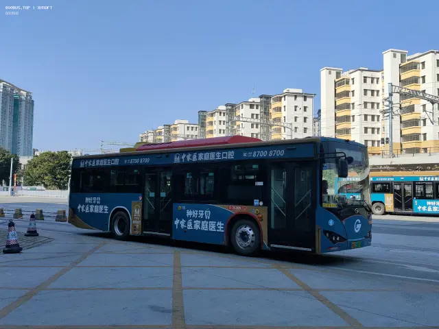 800BUS