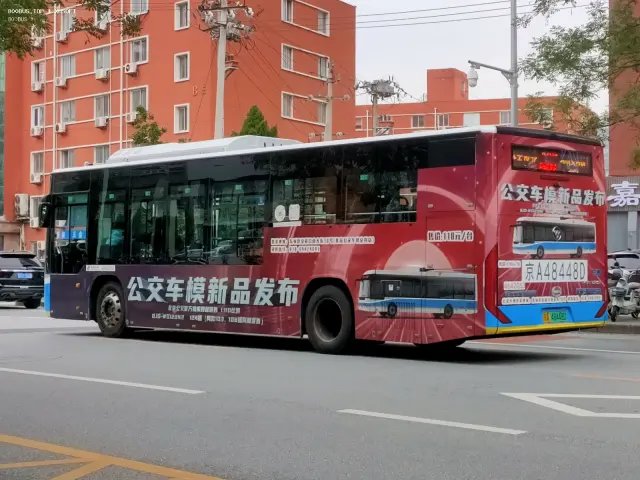 800BUS