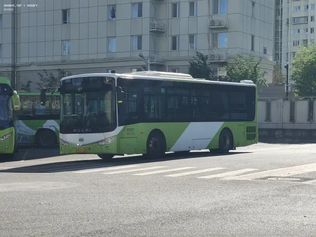 800BUS