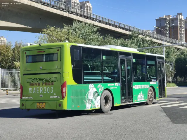 800BUS