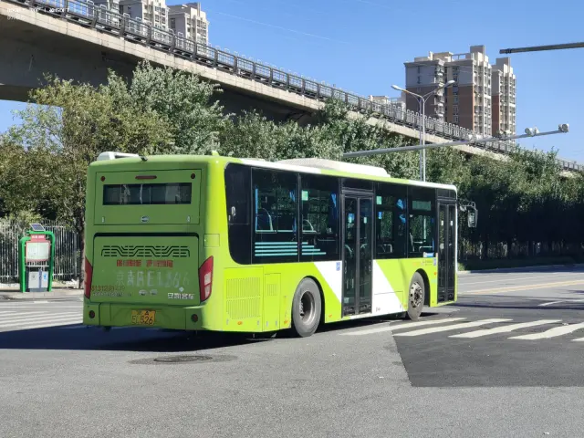800BUS