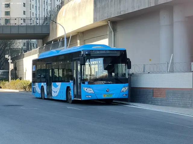 800BUS