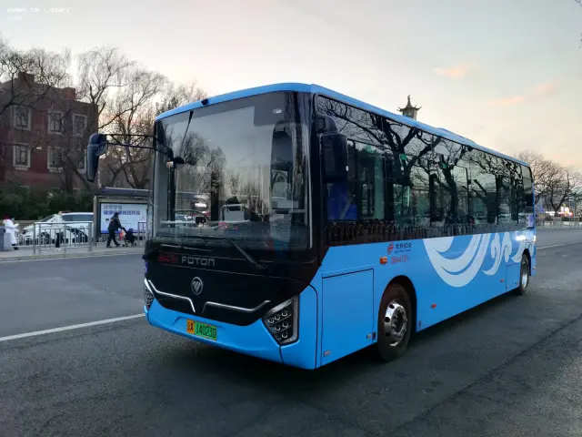 800BUS