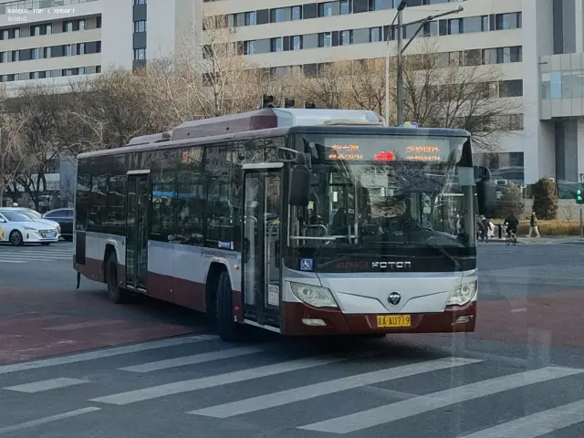800BUS