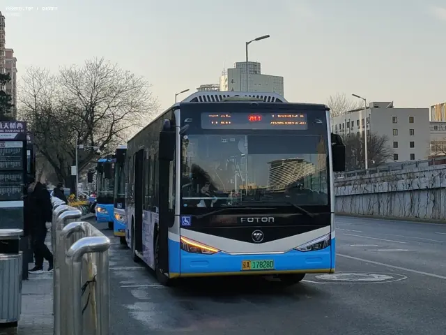 800BUS