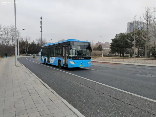 800BUS