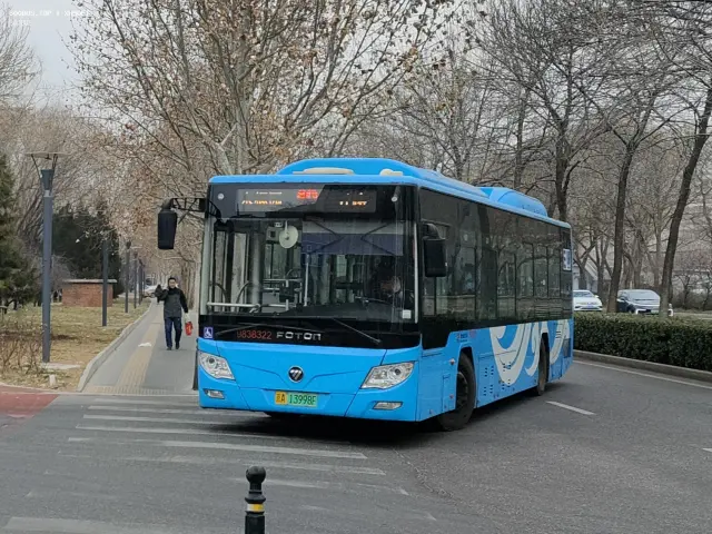 800BUS