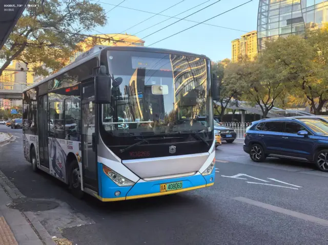 800BUS