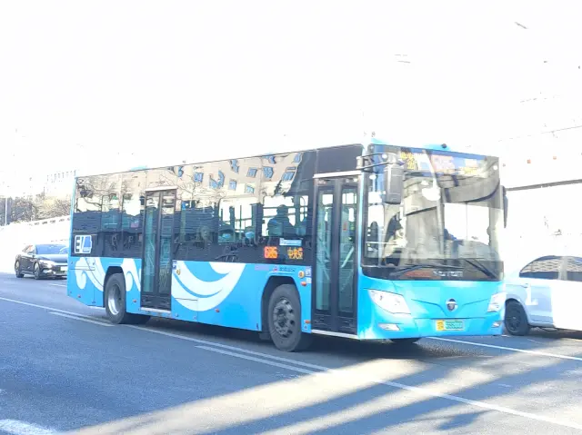 800BUS