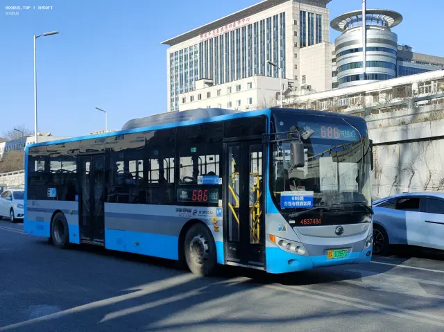 800BUS