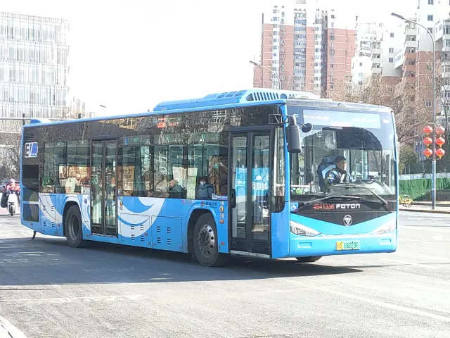 800BUS