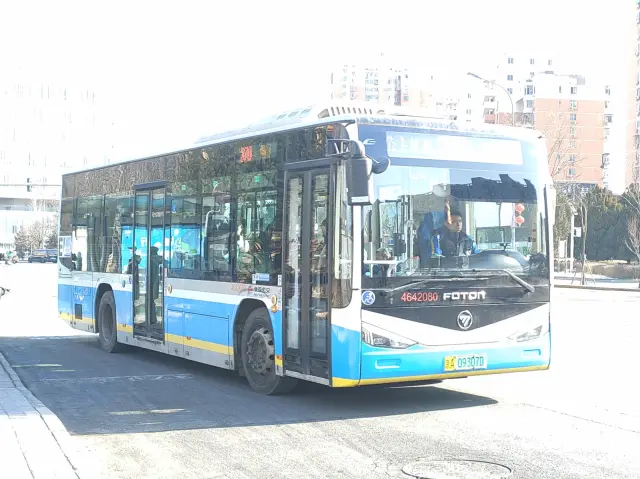 800BUS