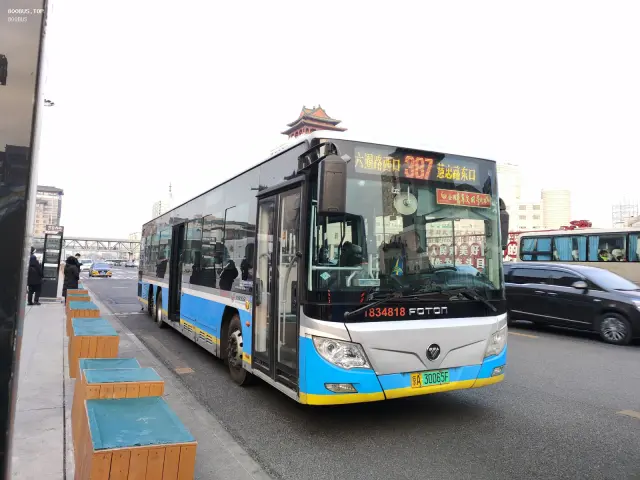 800BUS