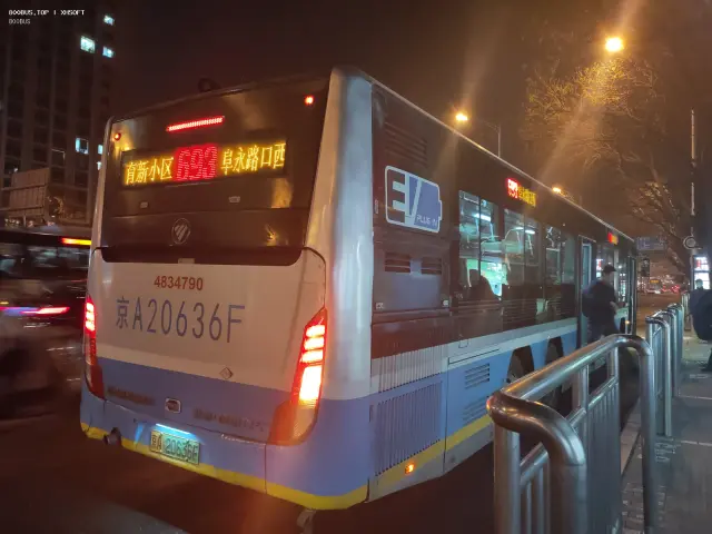 800BUS