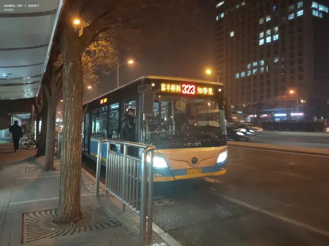 800BUS