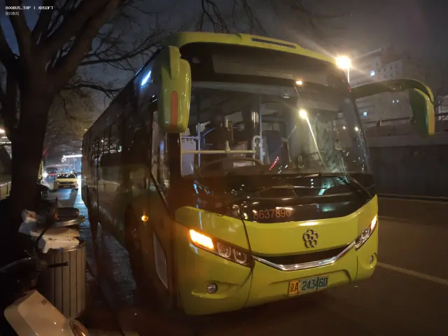 800BUS