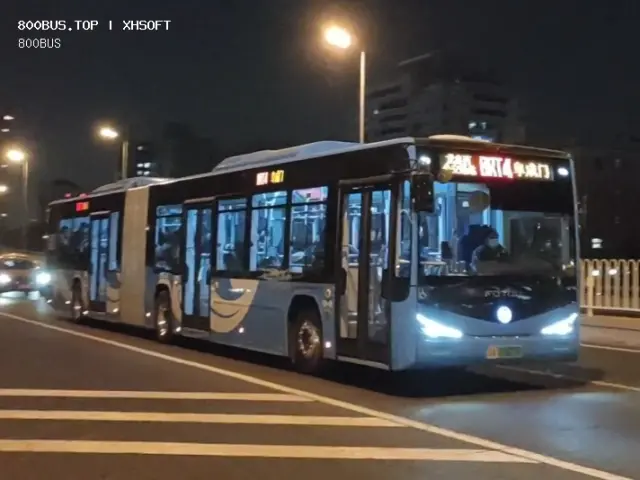 800BUS