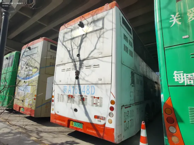 800BUS