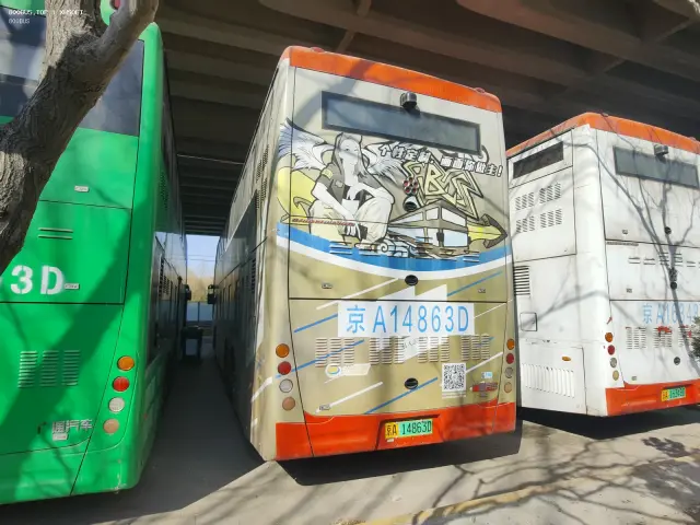 800BUS