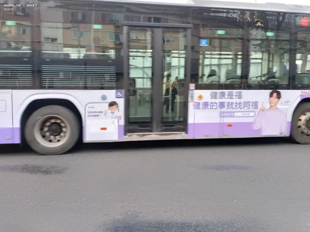 800BUS