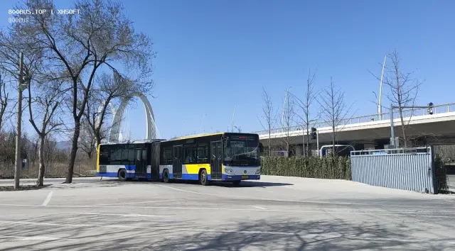 800BUS