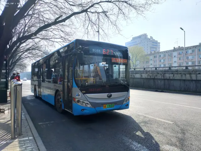 800BUS