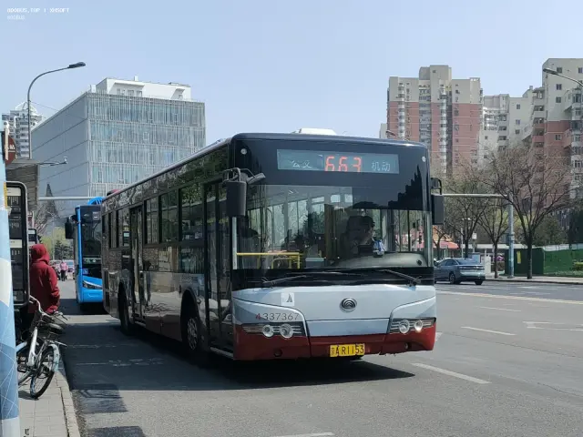 800BUS