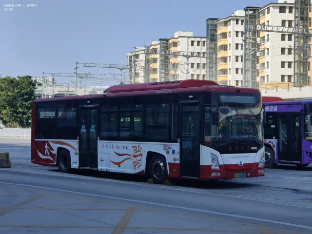 800BUS