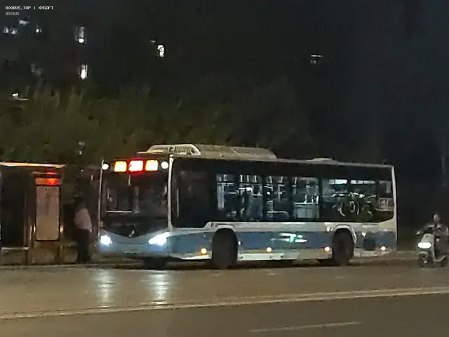800BUS