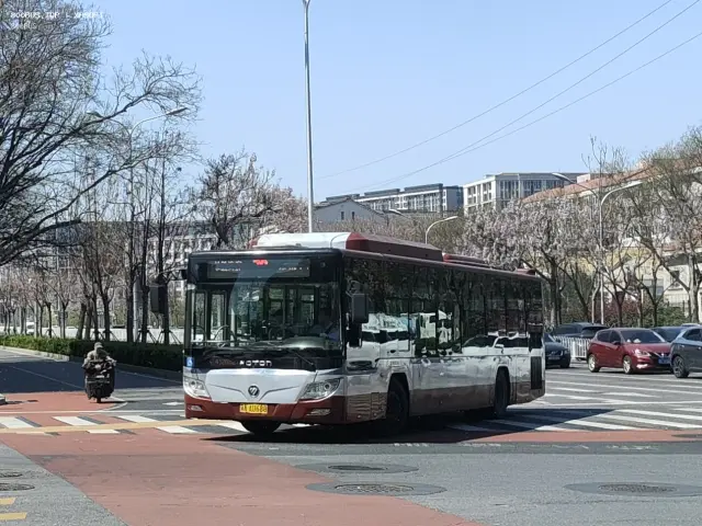 800BUS