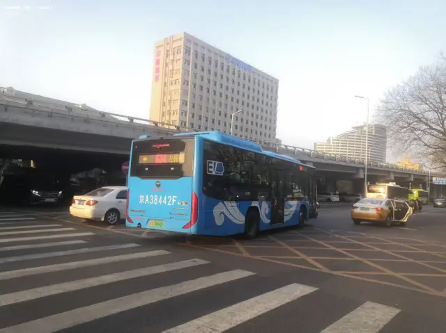 800BUS