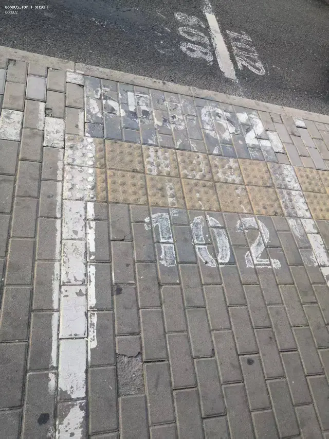 800BUS