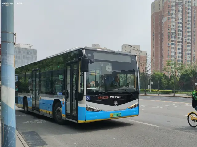 800BUS