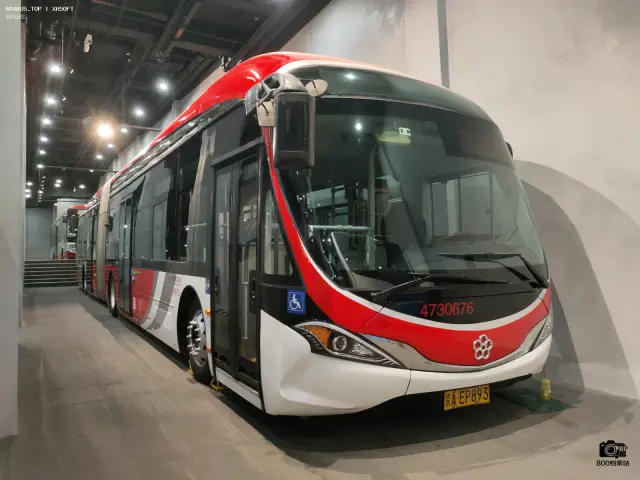 800BUS