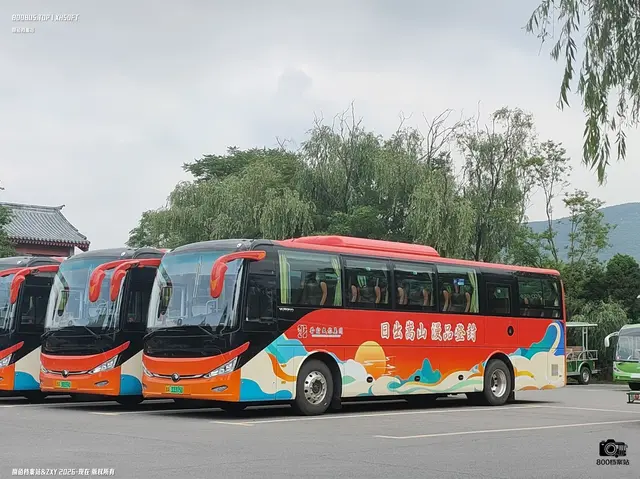 豫A33315D、豫A30559D