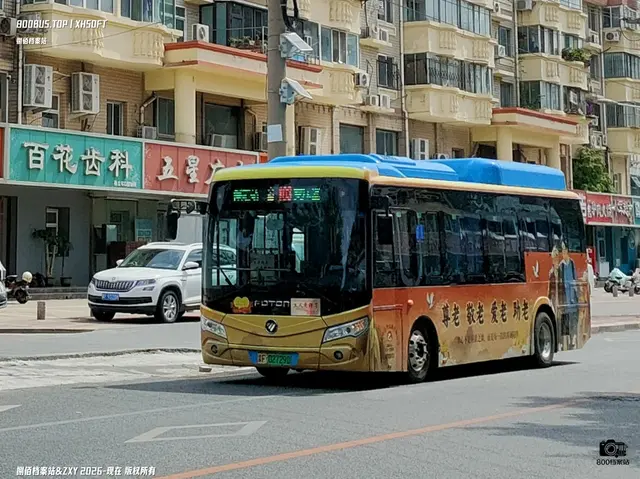 冀F 02729D